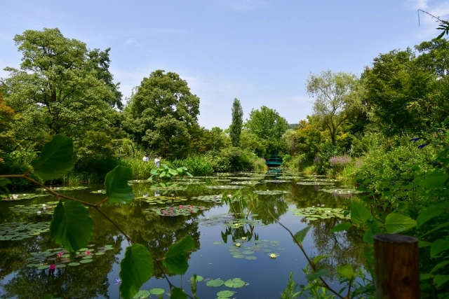 北川村『モネの庭』マルモッタンの「水の庭」