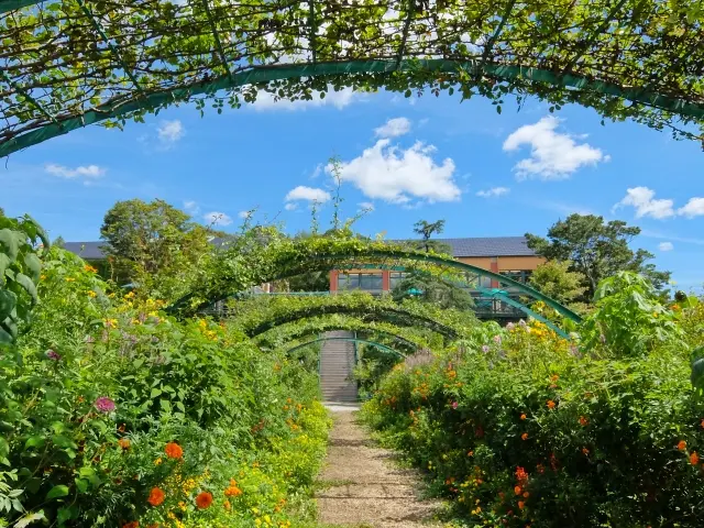 北川村『モネの庭』マルモッタンの「花の庭」