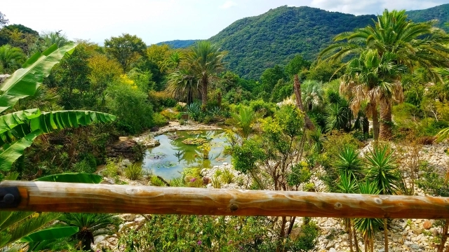 北川村『モネの庭』マルモッタンの「ボルディゲラの庭」
