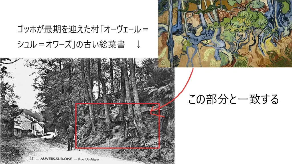 ゴッホの「木の根と幹」が描かれた場所が古い絵葉書と一致した