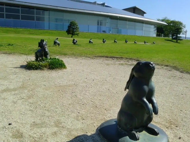 宍道湖うさぎ